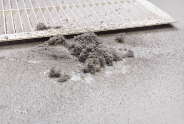Best Home Air Vent Cleaning  in Kingman, AZ