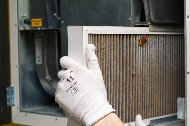 Best Air Duct Cleaning Near Me  in Kingman, AZ