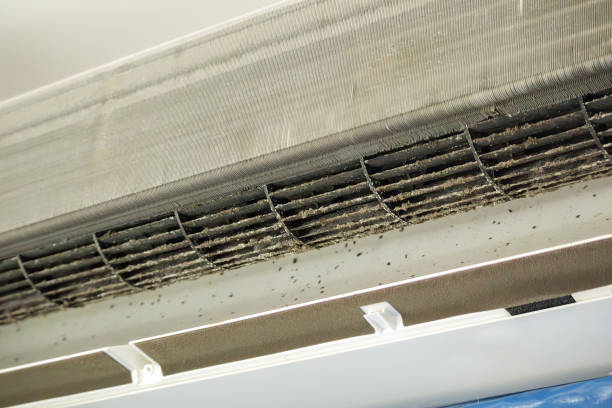 Best HVAC Duct Inspection Services  in Kingman, AZ